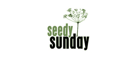 Seedy Sunday