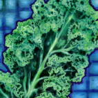 Picture - Curly Kale - Recipes